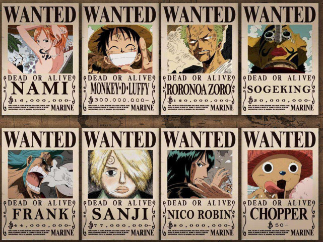 学习、变化与自信的奇妙旅程,赏金最新动态揭秘