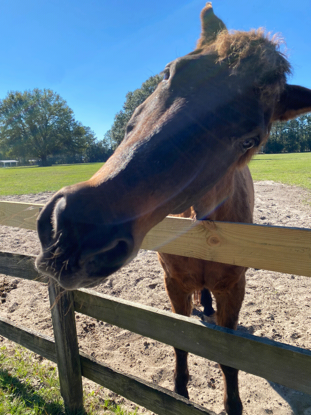 老马最新动态,一路学习,自信闪耀的旅程