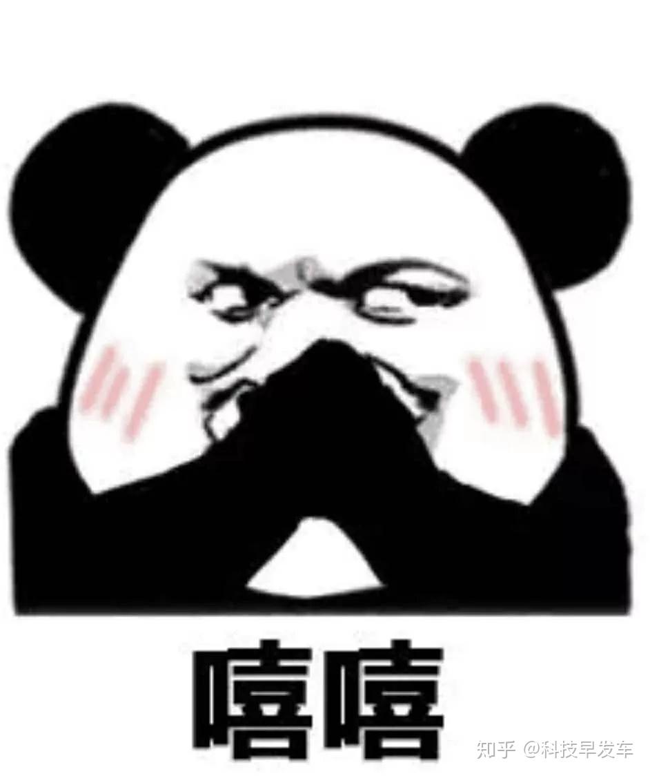 张极表情包最新，欢乐日常与陪伴的温馨故事