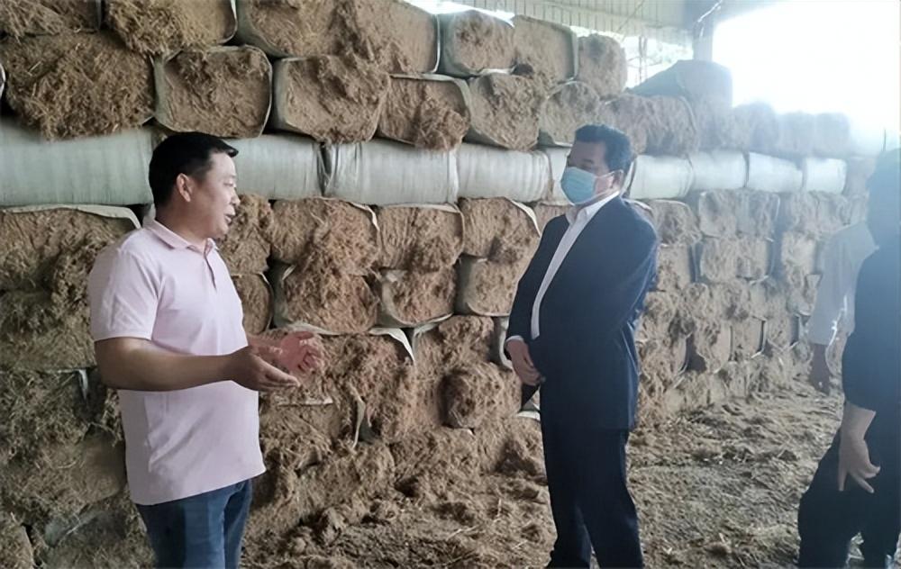 安徽糯稻最新价格报价与小巷深处的糯稻秘境探索